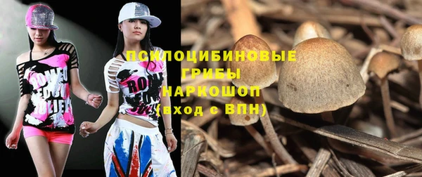 a pvp Арсеньев