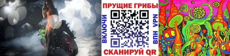 закладка  Оленегорск  Галлюциногенные грибы Psilocybine cubensis 